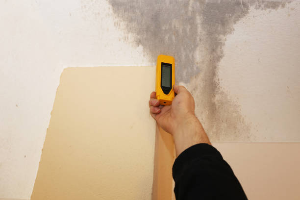 Asbestos and Lead Testing During Mold Inspection in Keizer, OR