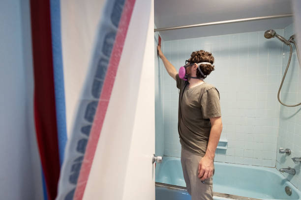 Best Asbestos and Lead Testing During Mold Inspection  in Keizer, OR