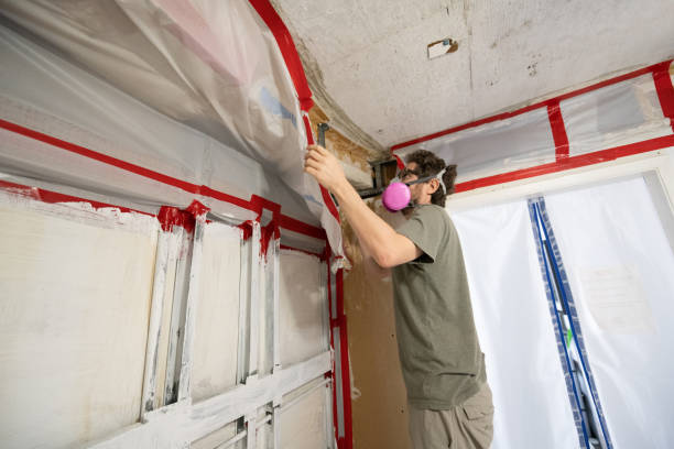 Best Industrial Mold Remediation  in Keizer, OR