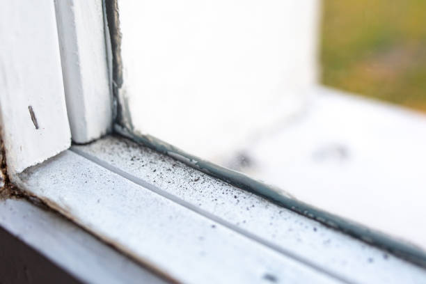 Dehumidification Services in Keizer, OR