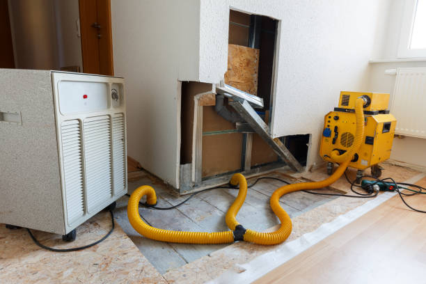 Best Water Damage & Mold Remediation  in Keizer, OR